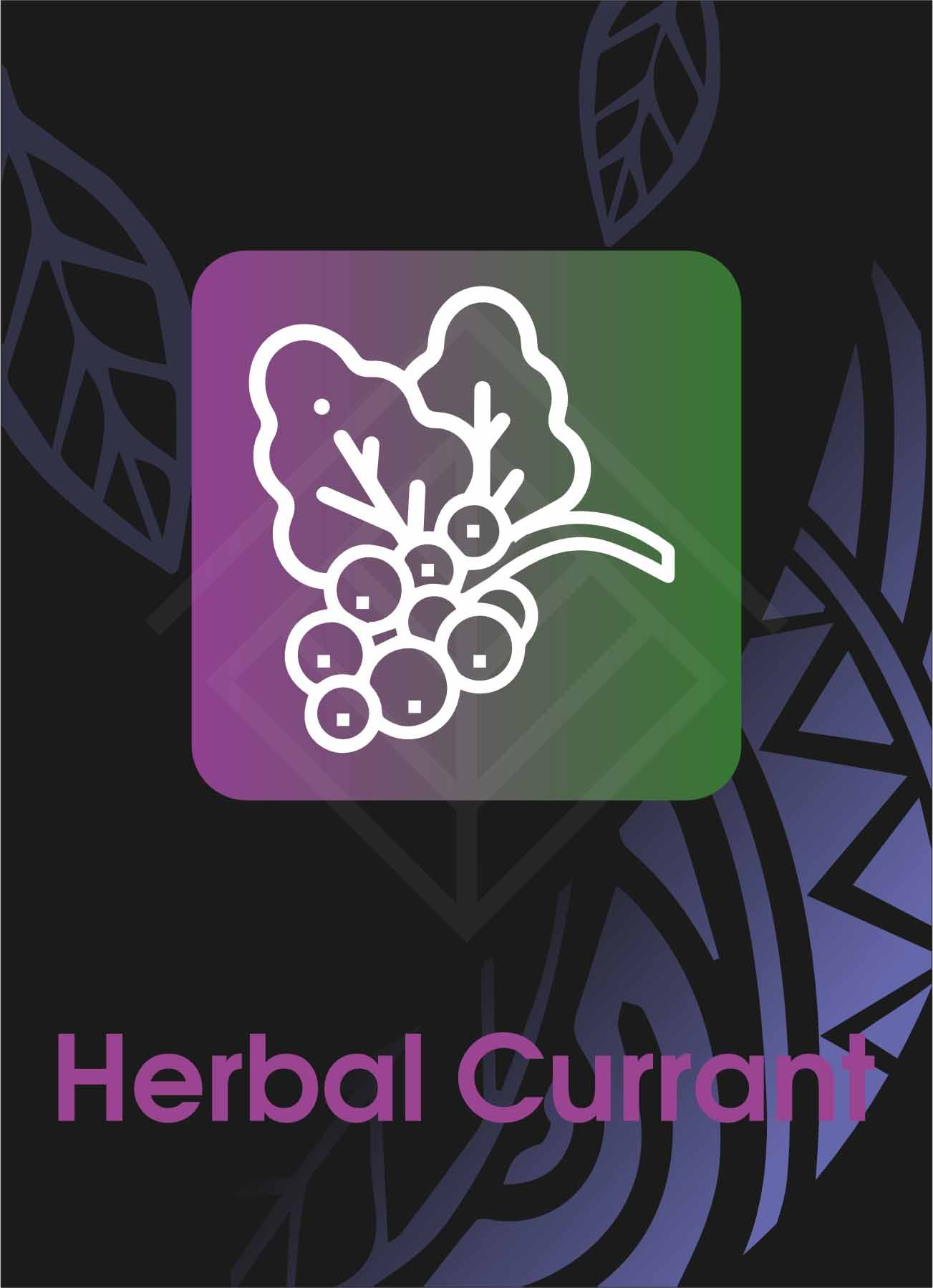 Herbal Currant (Hrbl Kurrant)